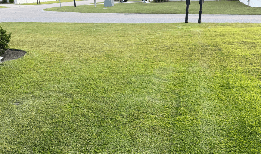 LAWN CARE